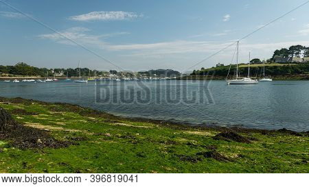 Aber Benoit In Brittany (france) On A Sunny Day In Summer, Low Tide, Green Algae