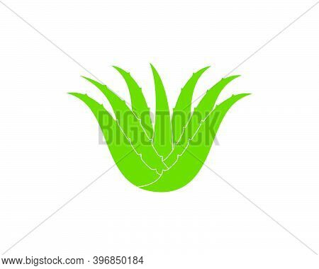 Aloevera Logo Icon Vector Illustration Design