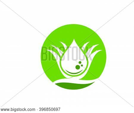 Aloevera Logo Icon Vector Illustration Design