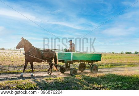 The Man Is Riding An Old Carriage