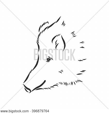 Sketch Grunge Wild Boar In The Profile.stock Vector Illustration., Wild Boar Vector Sketch Illustrat