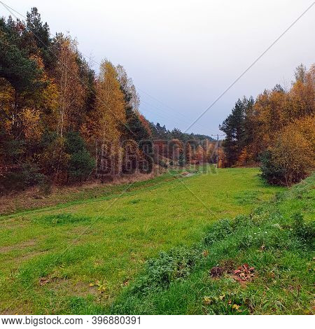 Autumn Forest.
All The Colors Of Autumn Leaves In The Forest.