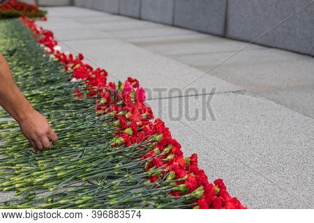 Laying A Red Carnation In Memory Of The Dead. Red Carnations On A Granite Gravestone.memorial Comple
