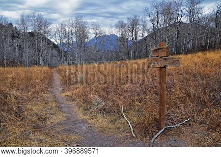 Trail Sign On The Y Trail, Provo Peak Hiking Trail By Y Mountain, Up Slide Canyon And Slate Canyon, 