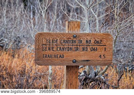 Trail Sign On The Y Trail, Provo Peak Hiking Trail By Y Mountain, Up Slide Canyon And Slate Canyon, 