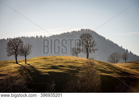 Bare Trees And Meadow In Autumn On Lessinia Plateau (altopiano Della Lessinia), On Background The Pu