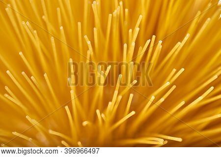 A Macro Photograph Of Several Unboiled Spaghetti