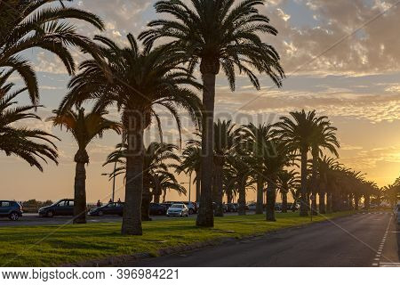 Morro Jable, Fuerteventura, Spain: 2020 October 08: Park In The Time Of Covid 19 Morro Jable On The 