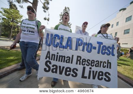 Pro-test Ucla