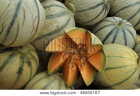 Cantaloupe Melons