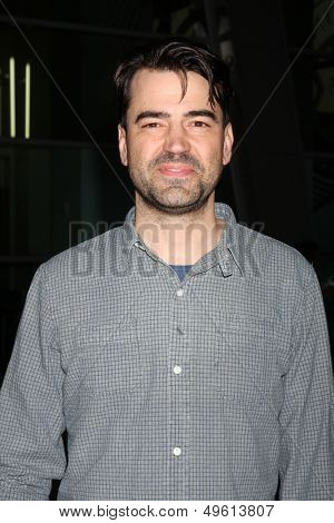 LOS ANGELES - AUG 14:  Ron Livingston at the 