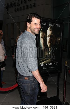 LOS ANGELES - AUG 14:  Ron Livingston at the 