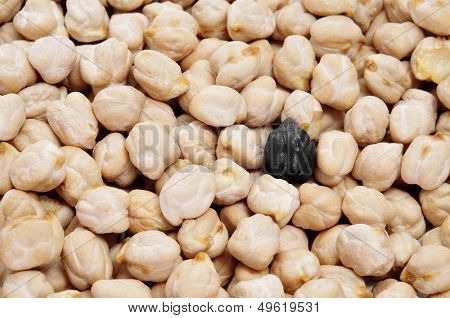 a black chickpea in a pile of dried chickpeas