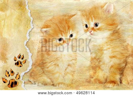 vintage background with paper border and kittens picture
