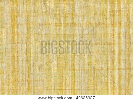 natural blank papyrus texture