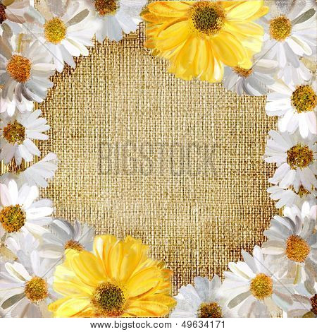 vintage framed background from painted daisy flowers