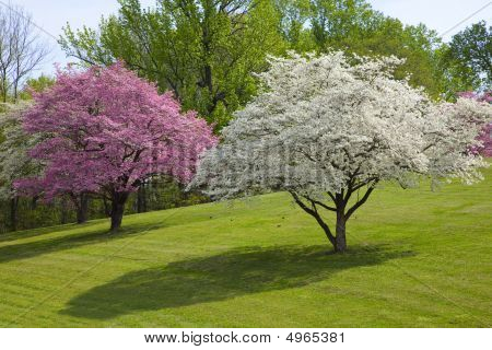 Bella primavera colori