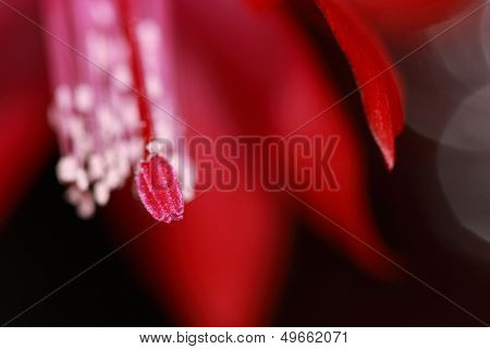 Abstract macro
