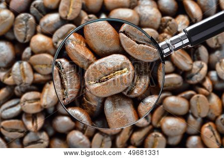 Coffee Beans