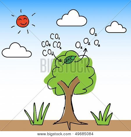 Oxygen Tree