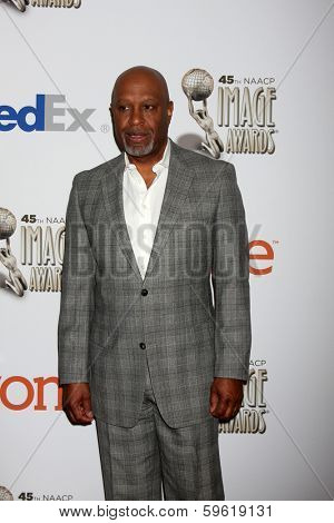 LOS ANGELES - FEB 8:  Jmaes Pickens, Jr at the 2014 NAACP Image Awards Nominees Luncheon at Loews Hollywood Hotel on February 8, 2014 in Los Angeles, CA