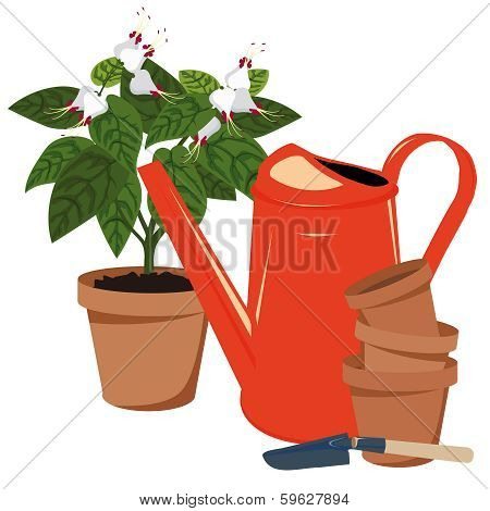 Flower room and watering