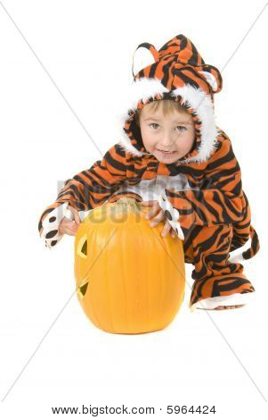 Peuter In Tiger kostuum Over pompoen