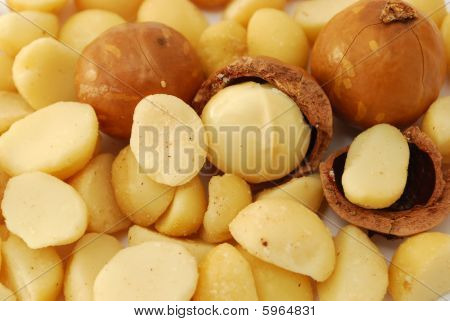 Fundo de macadâmia