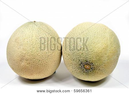 Cantaloupe Melon
