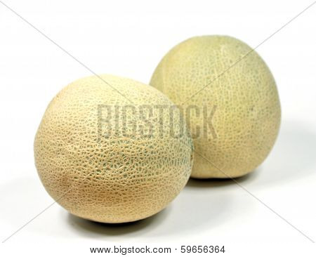 Cantaloupe Melon