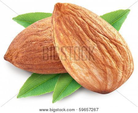 Almonds with leaves isolated on white background. Image with maximum sharpness. Clipping path.