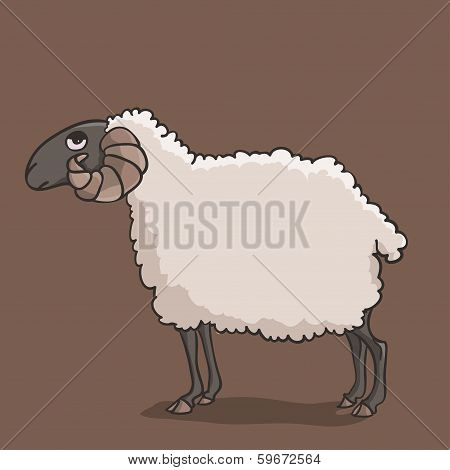 Sheep Darkhead