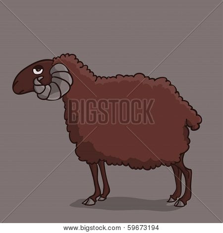 Sheep Brown