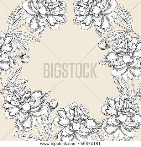 Background With White Peony