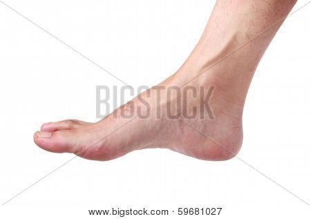 Foot