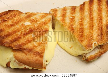 Toasted cheese sandwich with melting cheese oozing out.