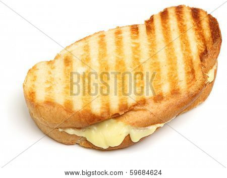 Toasted cheese sandwich on white background.