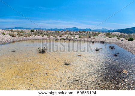 Cliff And Seaweeds In Sea, Tindari Gulf, Sicily, Italy