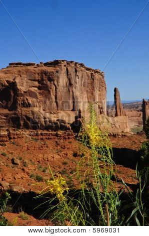 Parque Nacional roca formación arcos