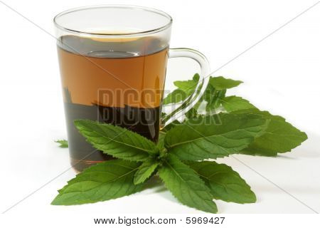 Borsmenta Tea