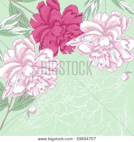 Background With White And Pink Peony