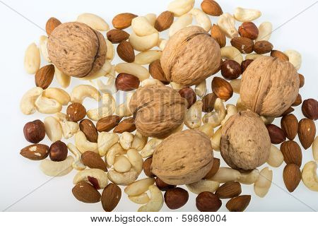 mixed nuts - hazelnuts walnuts cashews pine nuts isolated on white backgroun