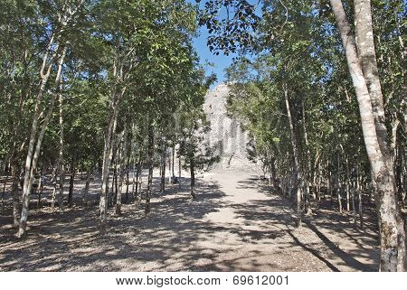 A road from the main Ziggurat