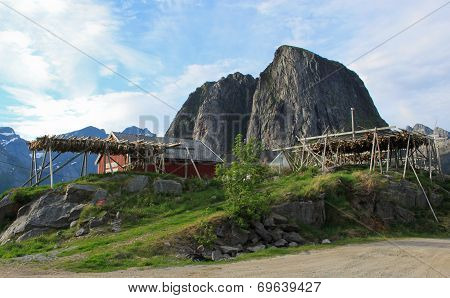 Drying stockfish on Lofoten islnads, Norway