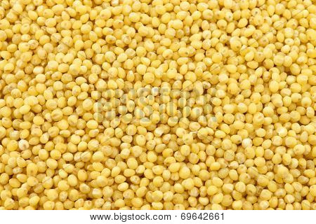 millet background