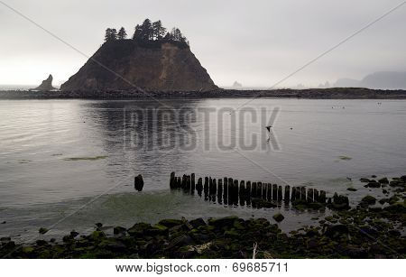 Pelican Stacks Bluffs Pacific Ocean West Coast