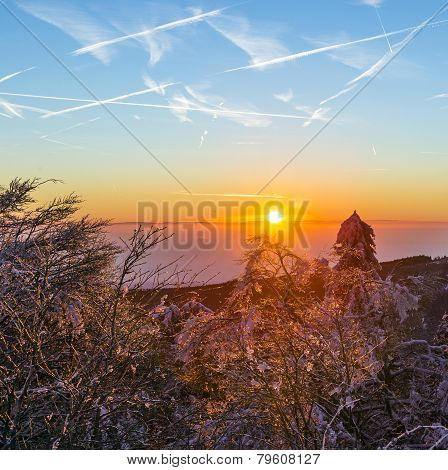 Sunrise Under The Winter Calm Mountain Landscape With Beautiful Fir Trees On Slope