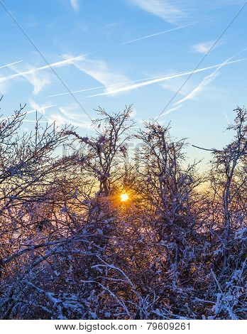 Sunrise Under The Winter Calm Mountain Landscape With Beautiful Fir Trees On Slope