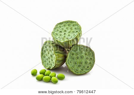 Calyx, Lotus Seeds Green .