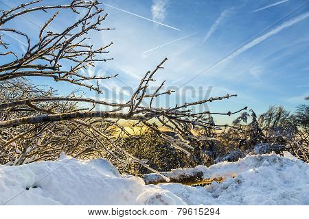 Sunrise Under The Winter Calm Mountain Landscape With Beautiful Fir Trees On Slope